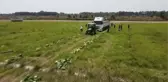 Tarsus'ta 200 bin ton karpuz, 50 bin ton kavun rekoltesi bekleniyor