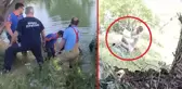 Arkadaşlarının uyarılarına rağmen göle girdi! Ondan geriye, ölüme yürüdüğü bu anlar kaldı