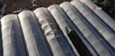 Salatalık tarlada 2, pazarda 5, marketlerde 7 ile 10 lira arası