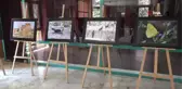 9 yaşındaki Mualla'dan profesyonellere taş çıkaran fotoğraf sergisi