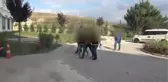Bıçakla bir kişiyi öldürüp kardeşini de yaralayan zanlı tutuklandı
