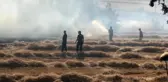 Buğday tarlasında çıkan yangın korkuttu