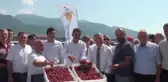 Honazlı Kiraz Üreticisi: 