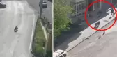 Kars'ta şehir merkezini boz ayı bastı! Araçların arasında cirit atıp vatandaşa saldırdı