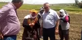 Uşaklı Köylü Kadının Feryadı: İki Senedir Marketin Önünden Geçmiyorum. Yetim Çocuğum, Yarım Kilo Kayısı Alamadım Diye Bir Hafta Ağladı