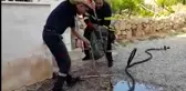 2 metrelik yılan paniği