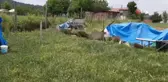 Tavuk kümesine giren vaşak balıkçı ağıyla yakalandı