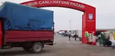 Çubuk'taki canlı hayvan pazarında kurbanlık satışları başladı