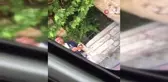Eyüpsultan'da 