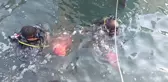Dalgıçlar denizde, öğrenciler sahilde temizlik yaptı