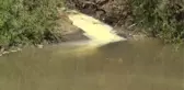 Kars Çevre ve Kent Hukuku Derneği Uyardı: 