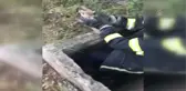 Sulama kanalına düşen tilki yavrusunu itfaiye kurtardı