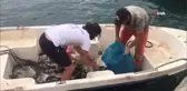 Milas'ta denizden çıkanlar şaşırttı