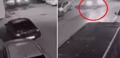 Sokak köpeğinin üzerinden geçip kemiklerini kırdı, arkasına bakmadan yoluna devam etti