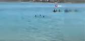 Doktorlardan Van Gölü turu