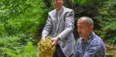 Bursa'nın dünyaca ünlü ıhlamur ormanlarında hasat başladı