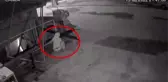 Reklamcıdan güpegündüz malzeme çalan hırsızlar kamerada