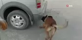Van'da 95 kilogram eroin ele geçirildi