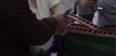 964 adet posta güvercini birincilik için yarıştı