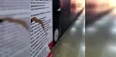 Avukatlardan güvenli alt geçit talebi: Alt geçidi mesken edinen madde bağımlıları korku saçıyor