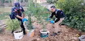 Kova kova kenevir ekimine jandarma baskını