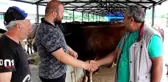 Kurbanlıklarda bu yıl pazarlıklar kızışacak