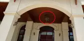 Hükümet konağının girişindeki kumru yuvası için validen kesin talimat: Dokunmayın