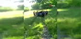 Kayalıklardan düşen yaşlı adamı AFAD ekipleri kurtardı