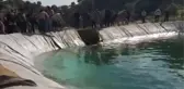 Gölete giren 2 genç boğuldu (2)