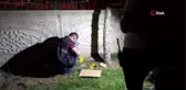 Gençlerin 