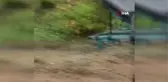 İneği ile birlikte uçuruma yuvarlanan kadın hayatını kaybetti