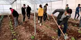Mardin'de meslek lisesinde uygulamalı tarım eğitimi
