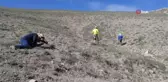 Sadece Van'da uçabilen 'Rose'nin Çokgözlüsü' için kilometrelerce yol kat ettiler