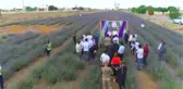 Suriye sınırında 