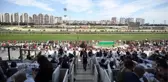 96. Gazi Koşusu için nefesler tutuldu! Yarışseverler, Veliefendi Hipodromu'na akın etti