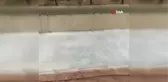 Sokak ortasında görülen 2 yılan tedirgin etti