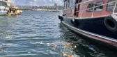 Fatih'te kıyıya vuran çöplerin oluşturduğu kirlilik çevredekileri rahatsız etti