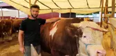 Kurban pazarının 1,3 tonluk Şampiyon'u