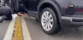 Milletvekili ve ekipler yavru kediyi kurtarmak için seferber oldu
