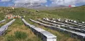 Süphan Dağı'nın eteklerinde organik bal üretimi