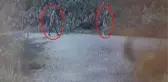 Ayşegül'ü ölüme götüren yabancı uyruklu zanlıdan kan donduran sözler: Alkolün etkisiyle hoşuma gitti, arkadan yaklaşıp boğazını sıktım