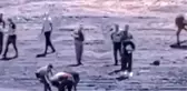Sulama göletinde erkek cesedi bulundu
