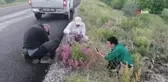 Tunceli'de bitki envanteri çıkarılıyor