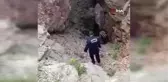 Son Dakika | Mağarada eşek kurtarma operasyonu