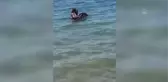 Son dakika haberi... Denizde ölü yeşil deniz kaplumbağası bulundu