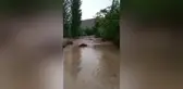 Niğde'de Sağanak Yağış Sonrası Dereler Taştı, Evler Su Altında Kaldı