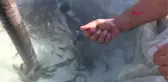 KUMLUCA'DA DENİZCİLİK VE KABOTAJ BAYRAMI KUTLANDI