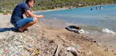 Son dakika haberi... Ölü caretta caretta sahile vurdu