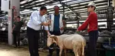 Bursa kurban pazarında hareketli günler