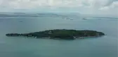 Son dakika gündem: İstanbul ormanlarında 
